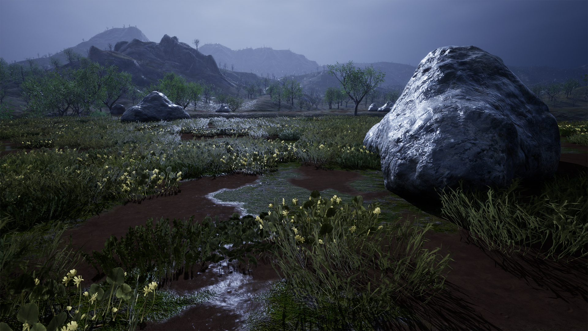 Wetlands Rainy Procedural Ecosystem