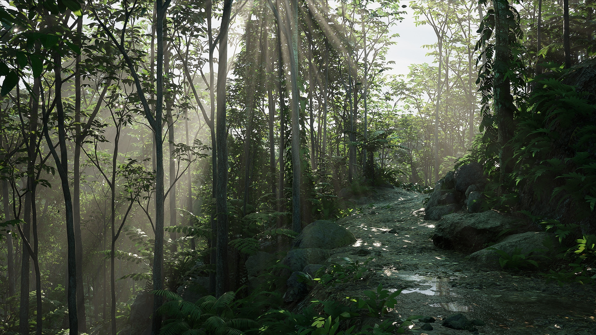 Rain Forest Pack in Environments - UE Marketplace