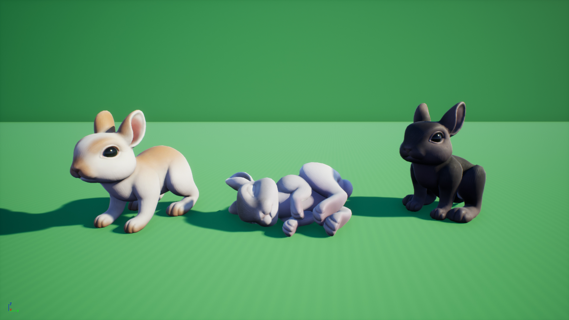Bunny
