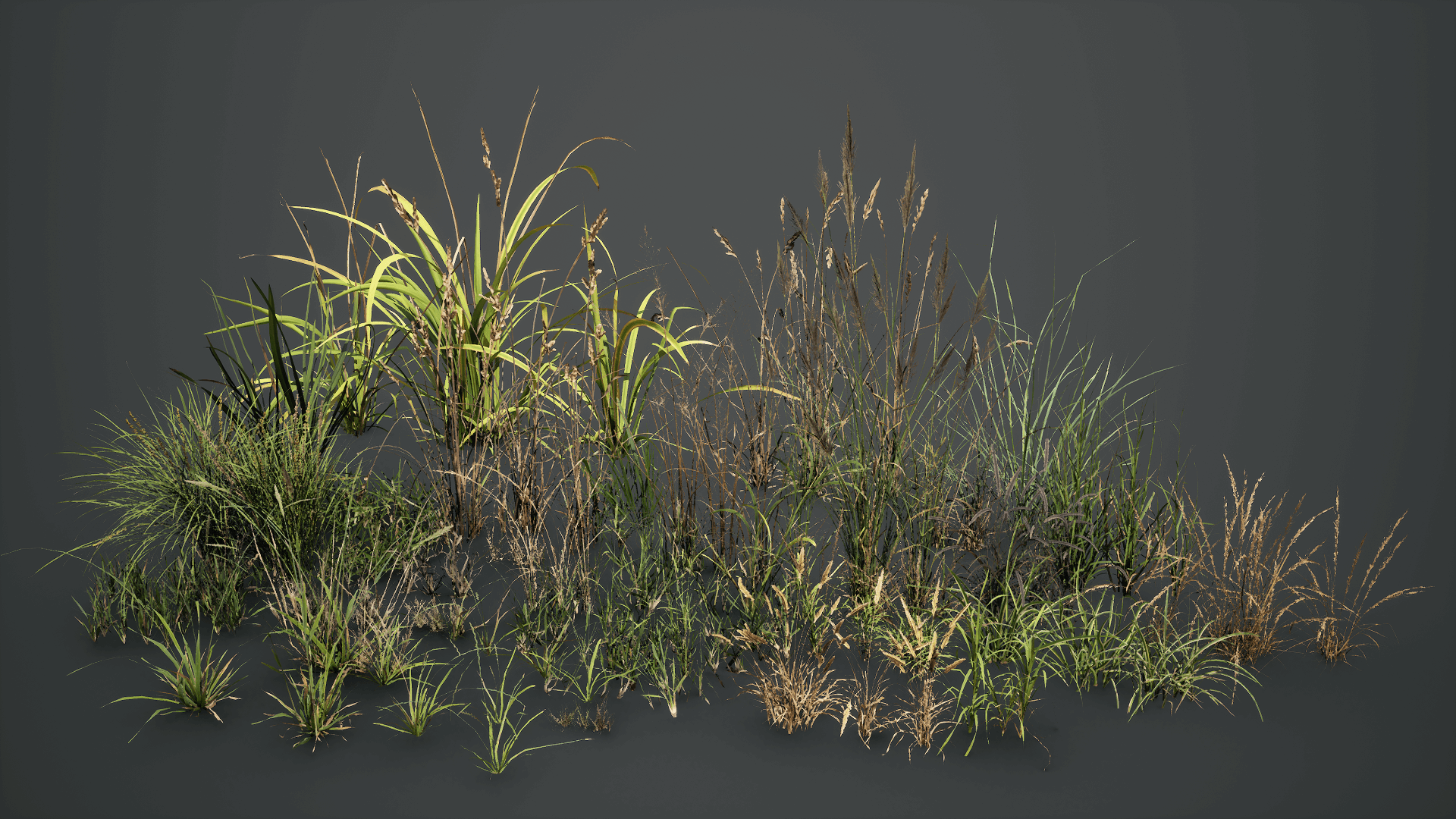 Megascans: Grass