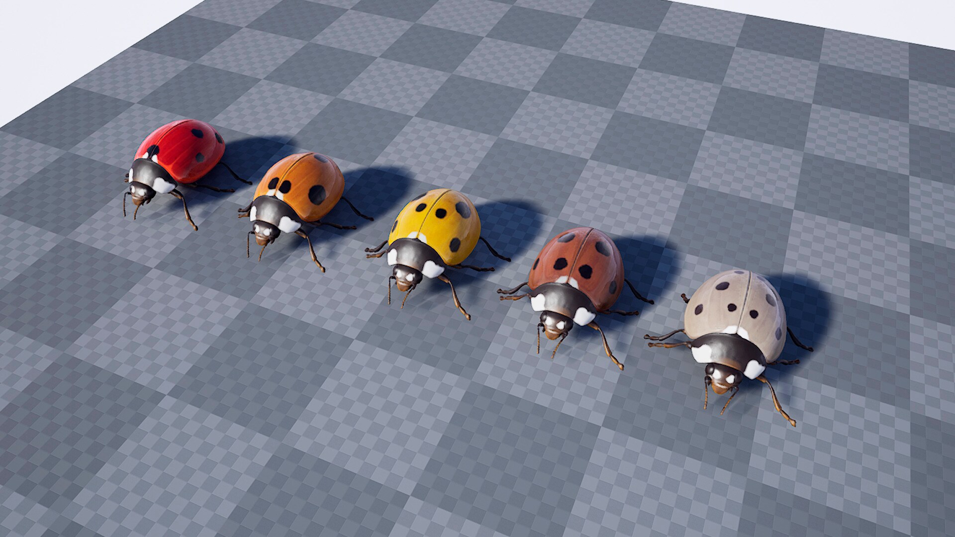 Ladybug in Characters - UE Marketplace