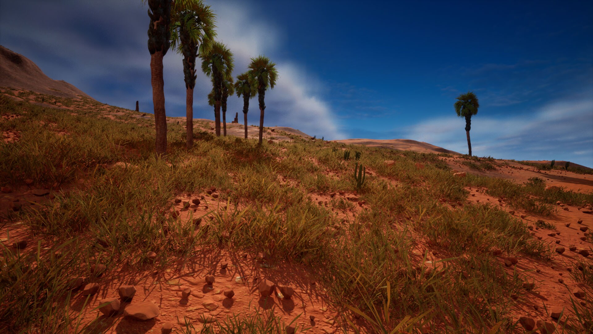 Lost Desert