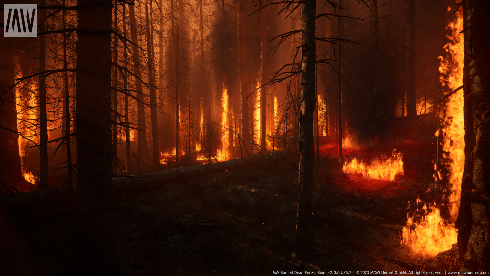 MW Burned Dead Trees Forest Biome | Environments