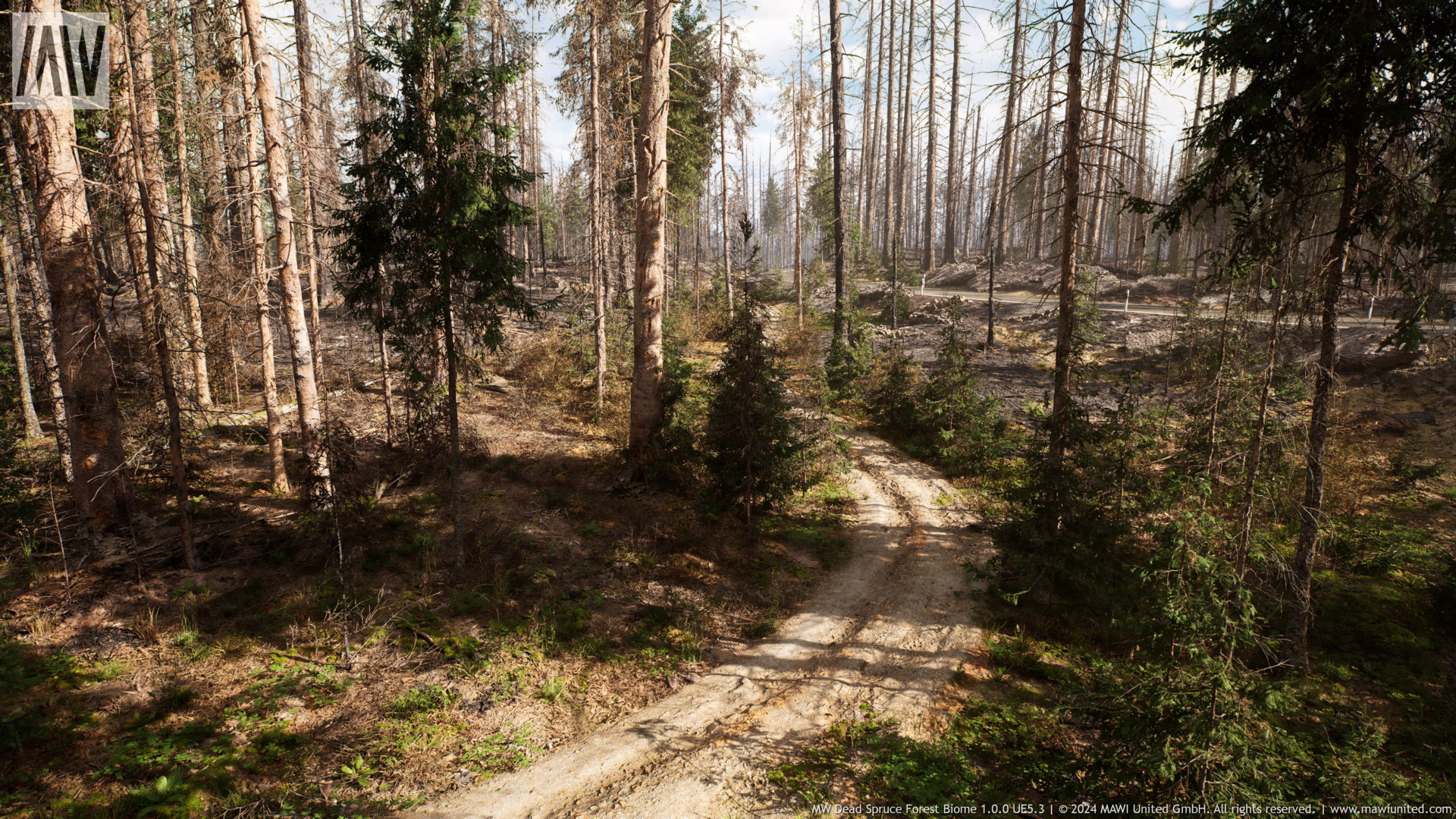 MW Dead Spruce Forest Tree Biome