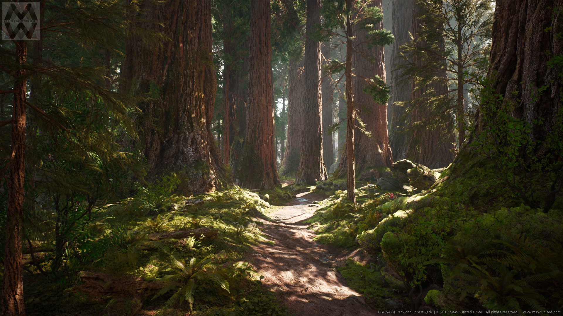 Redwood Forest Collection by MAWI United GmbH in 