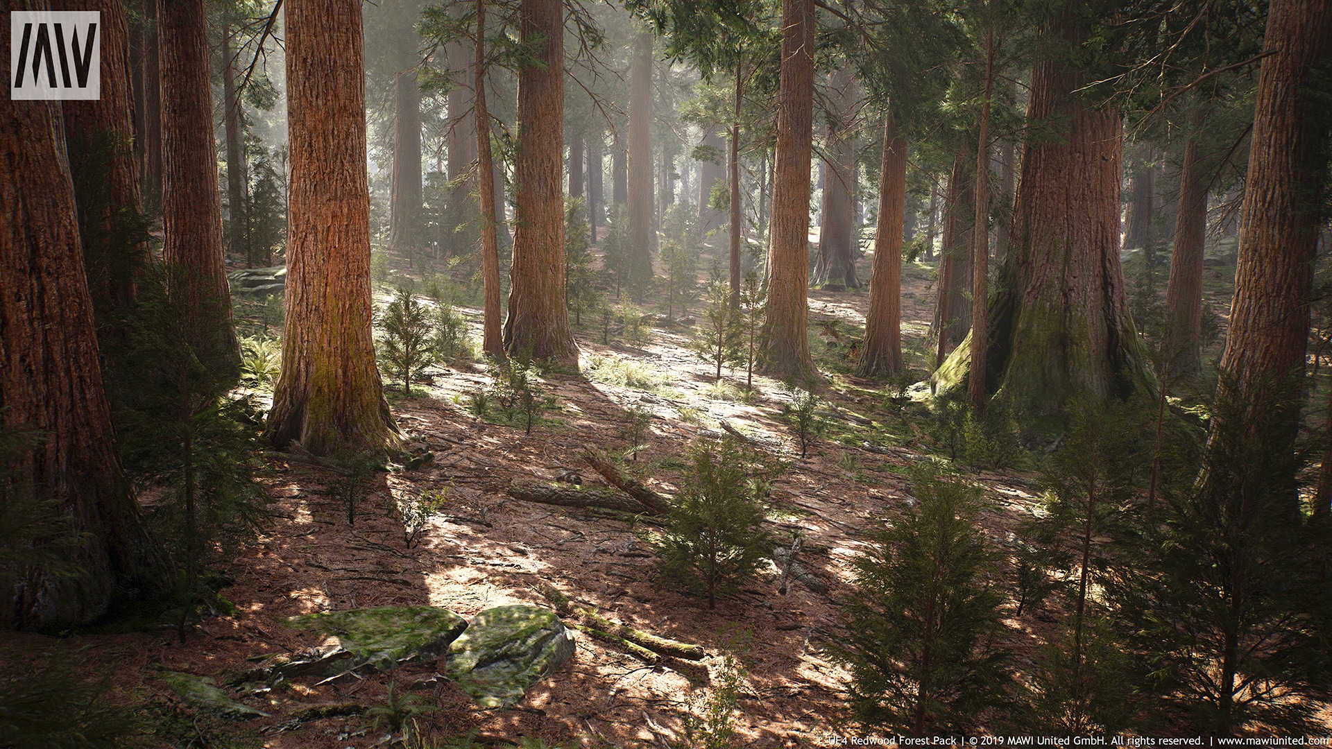 Mw Mountain Redwood Trees Forest Biome In Environments Ue Marketplace