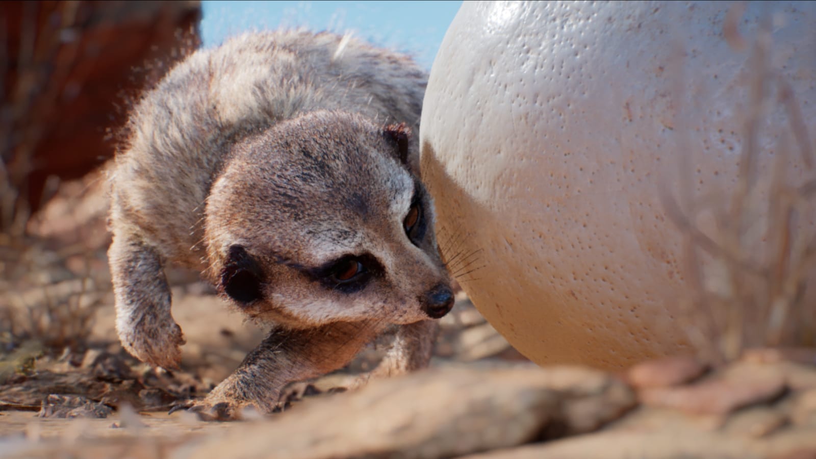 Meerkat Demo External Link 環境 Ue マーケットプレイス