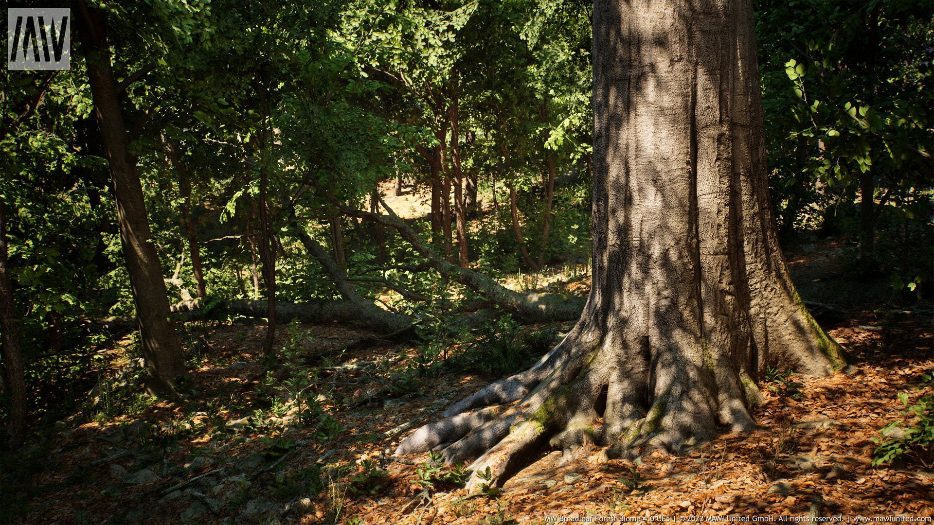 Leaf Tree Forest Biome in Environments - UE Marketplace