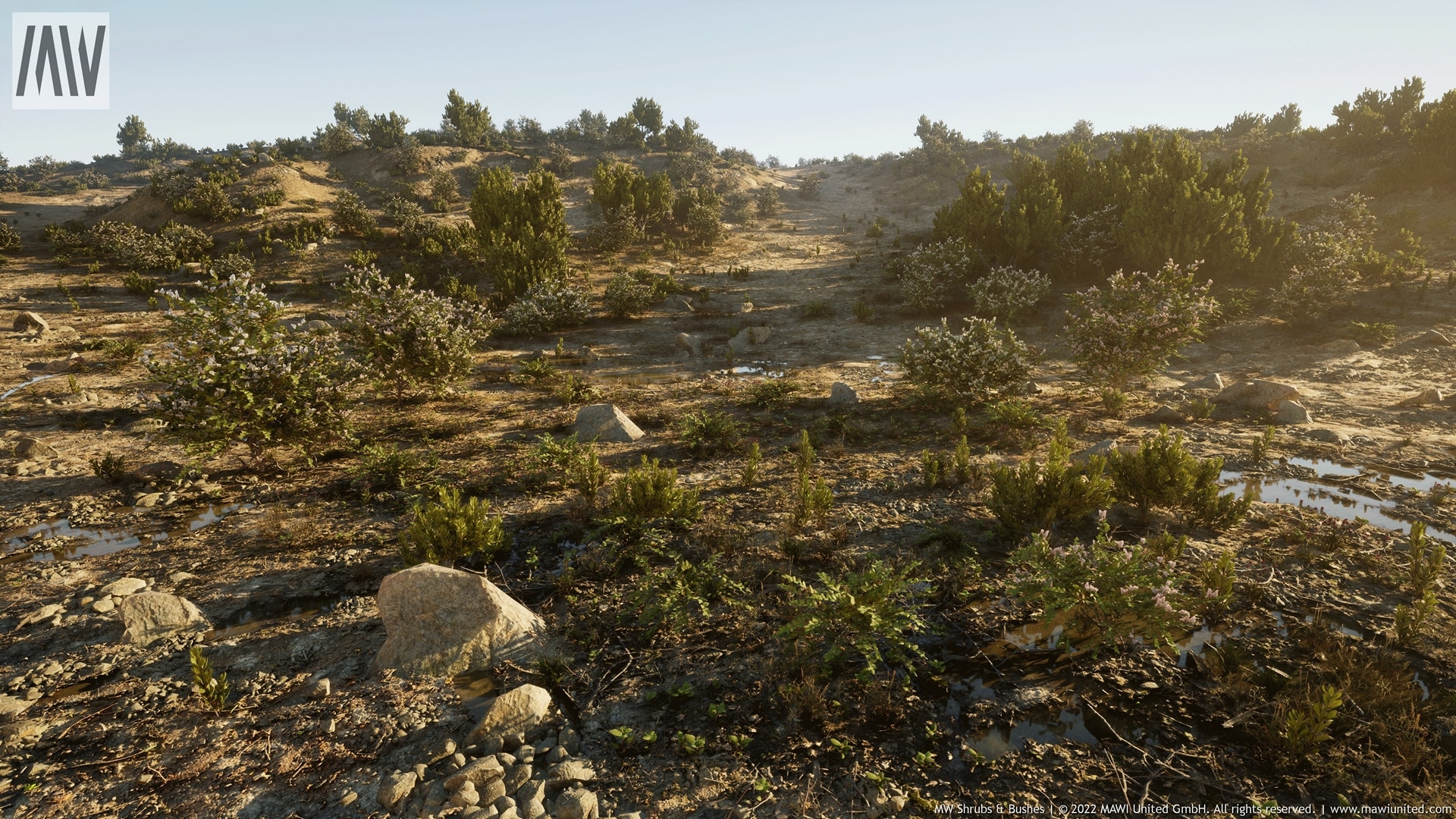 MW Shrubs and Bushes