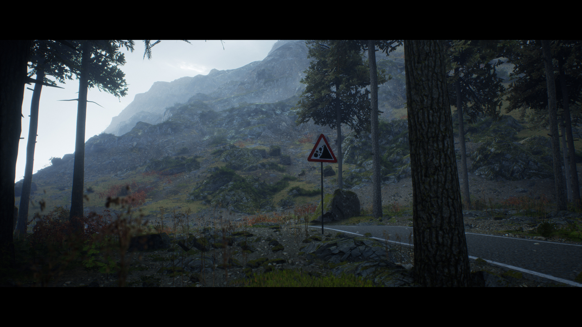 Forest Walk