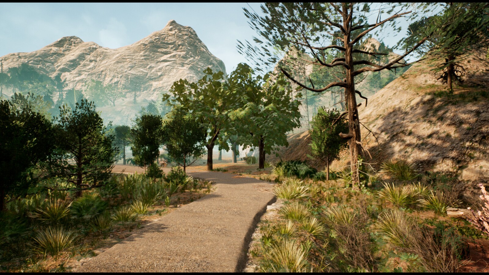 Mediterranean Forest, 카테고리 배경 - UE 마켓플레이스