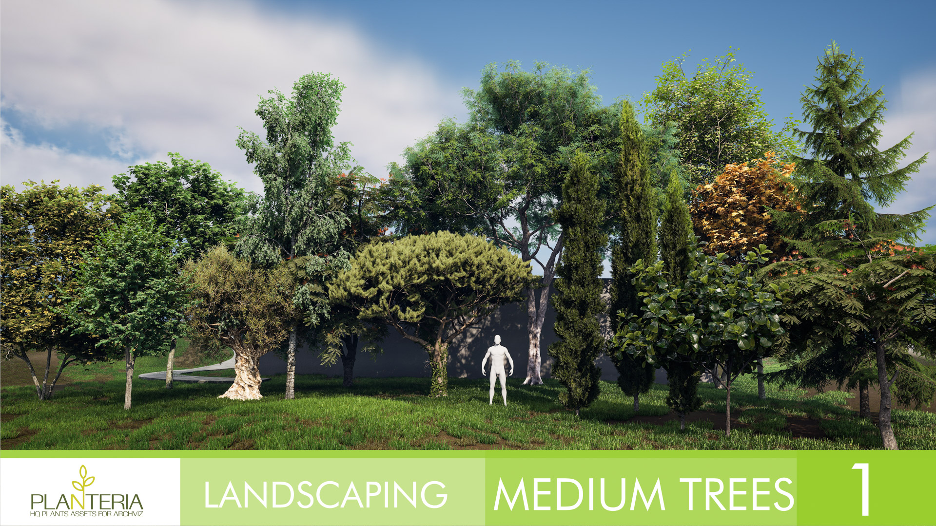 Landscaping Medium Trees Vol. 1