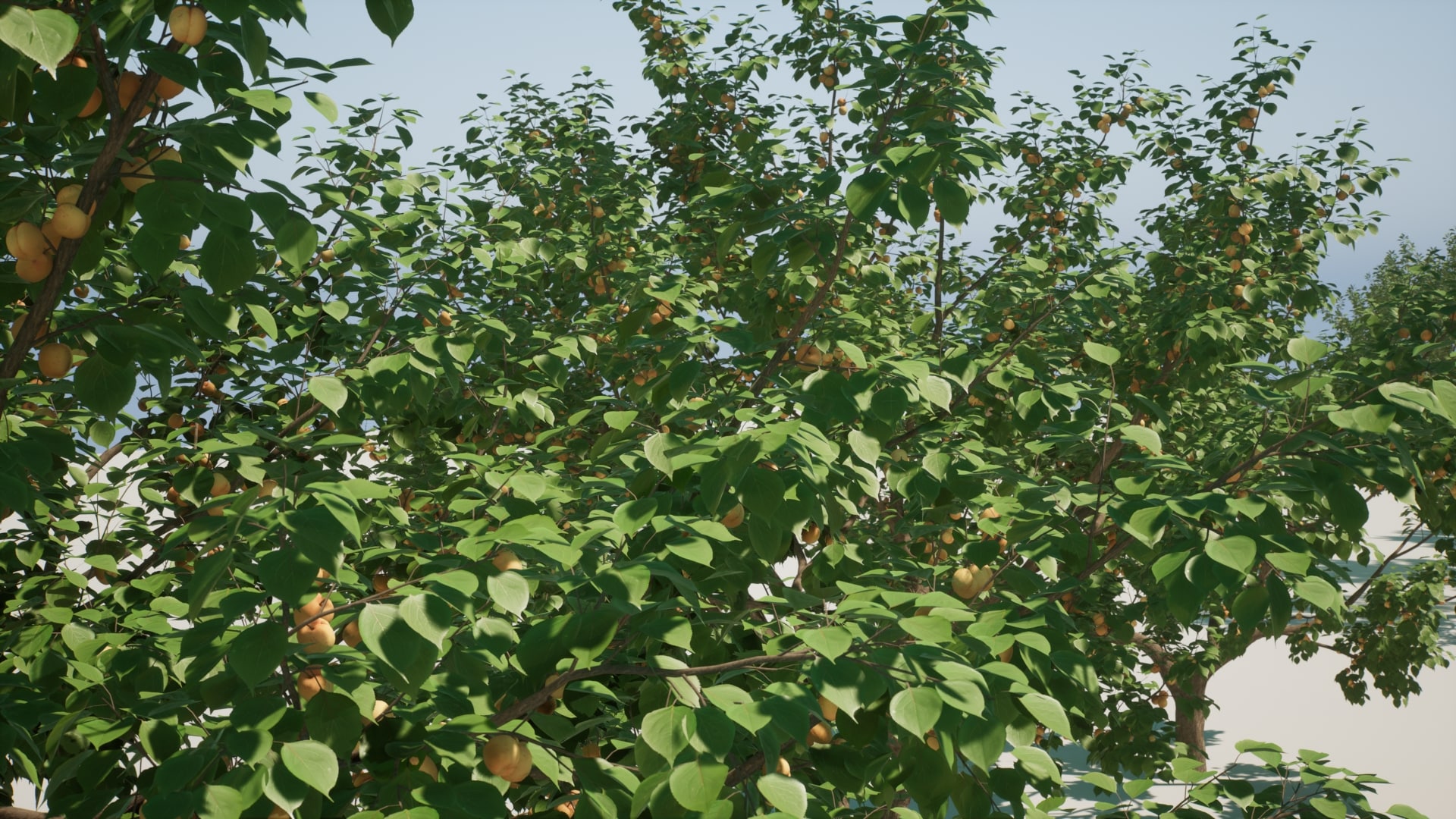 在道具创建的Fruit Tree V2 虚幻引擎商城