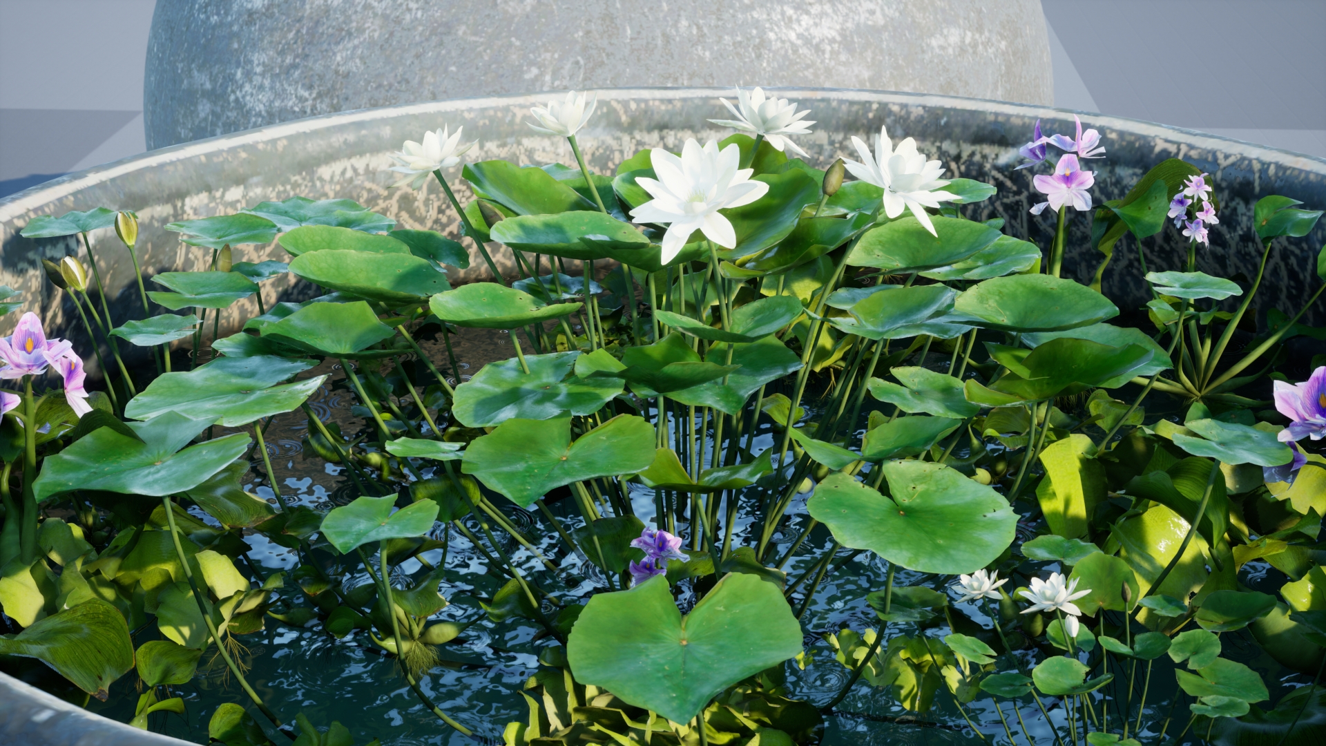 Water tank Aquatic_plants