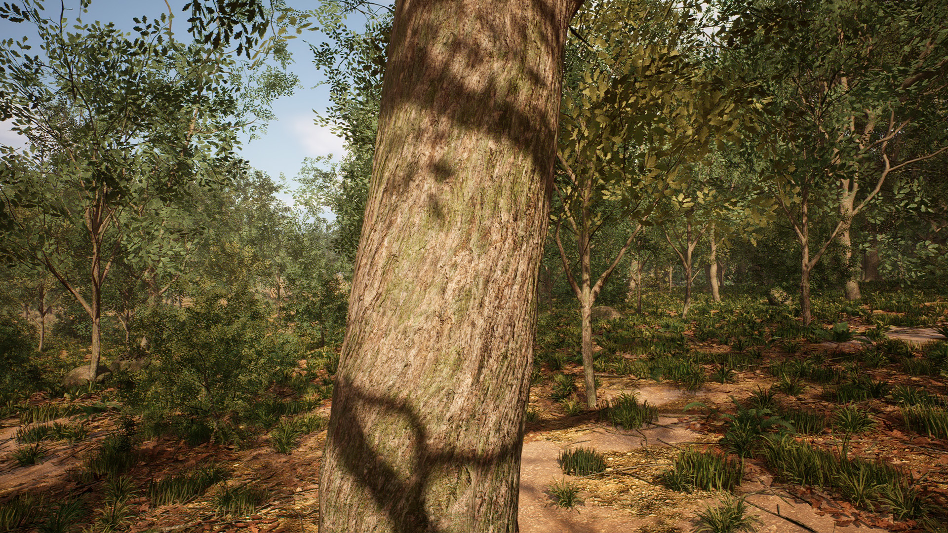 Oak Forest Biome: Optimized