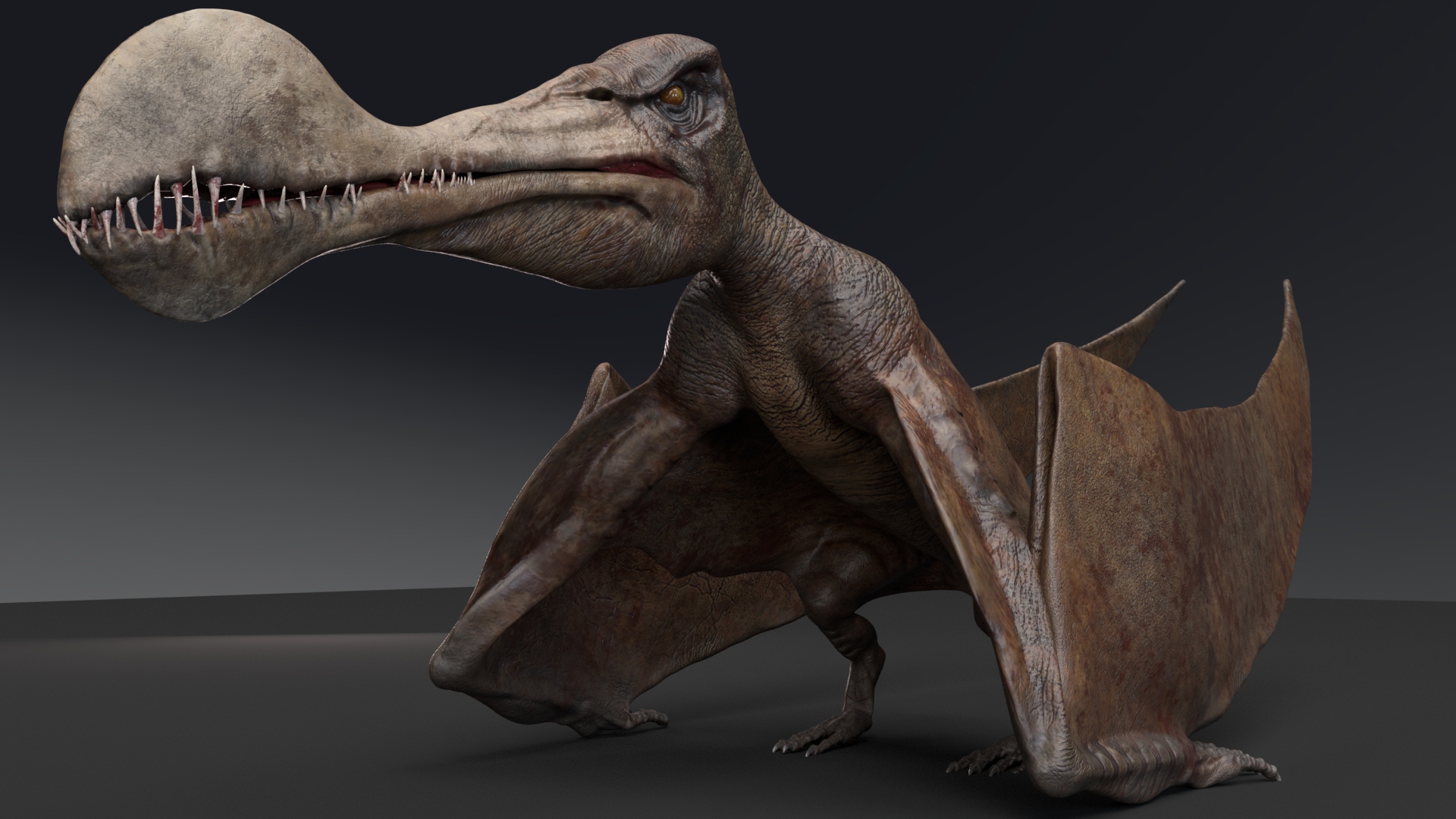 Tropeognathus