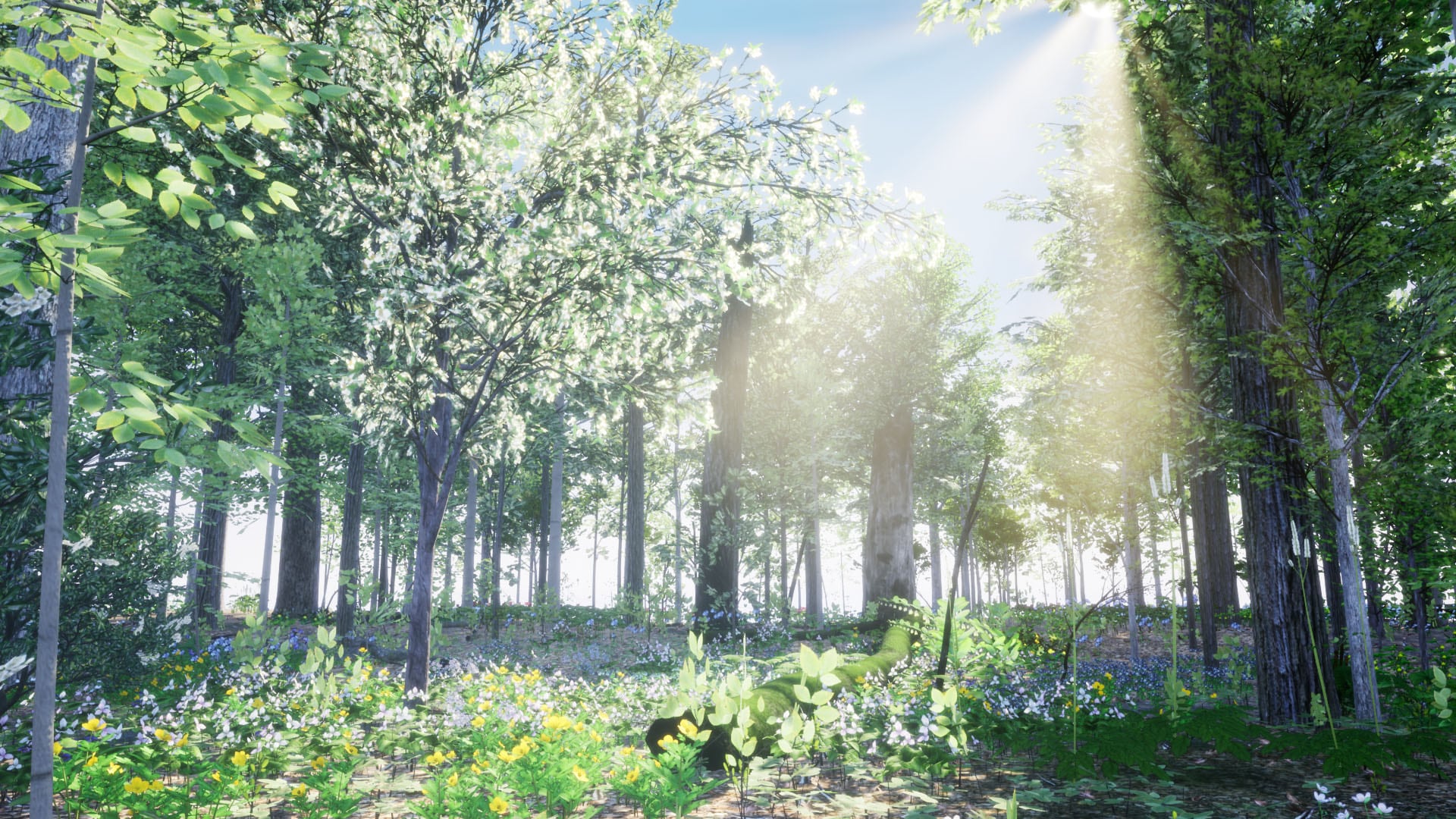 PAExample1-1920x1080-e606d9aa4fd64ba72bdd22fca6aa27a6.jpg