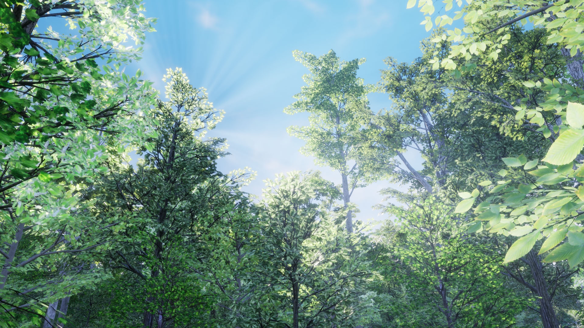 PAExample4-1920x1080-bb00b203ec2ff193241e304d70c645f6.jpg