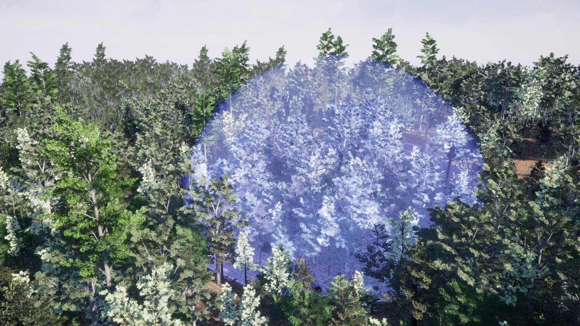 PAInBalanceBrush-1920x1080-1711d03e0b06e02f50f6ad42c8ebd0f3.jpg