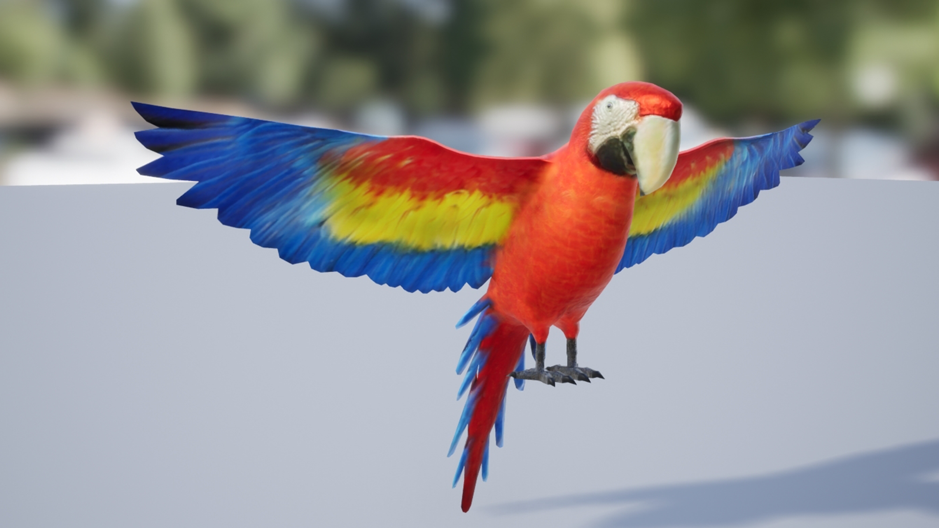 Medhue Parrot