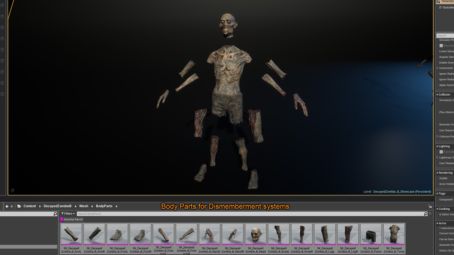 Decayed Zombie B：キャラクター UE マーケットプレイス