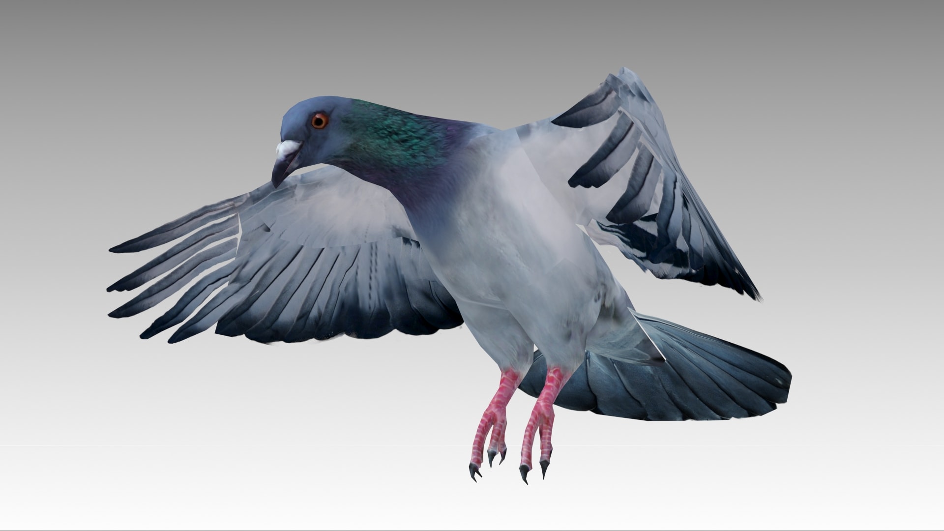 Pigeon in Characters UE Marketplace