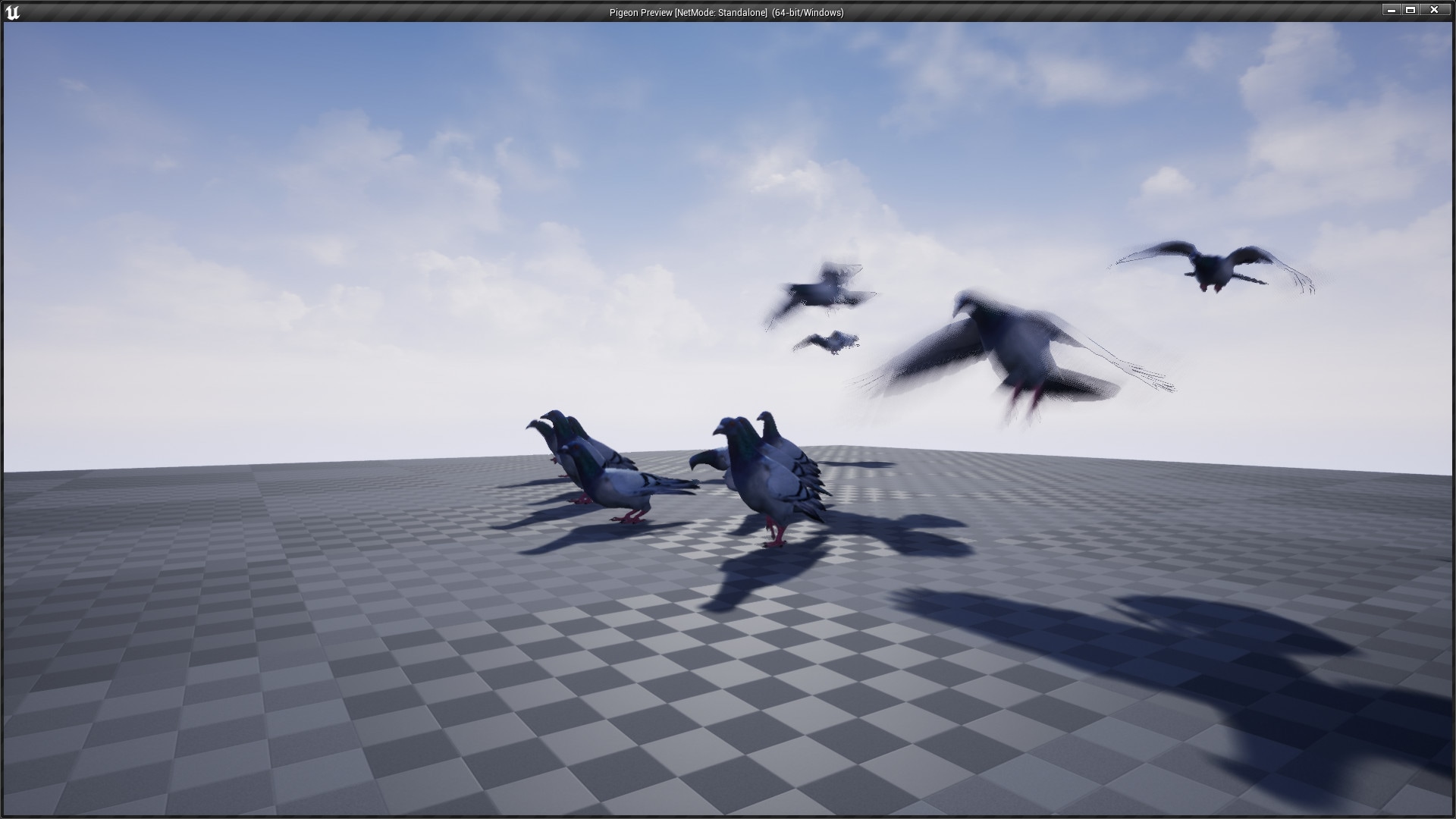 Pigeon in Characters UE Marketplace