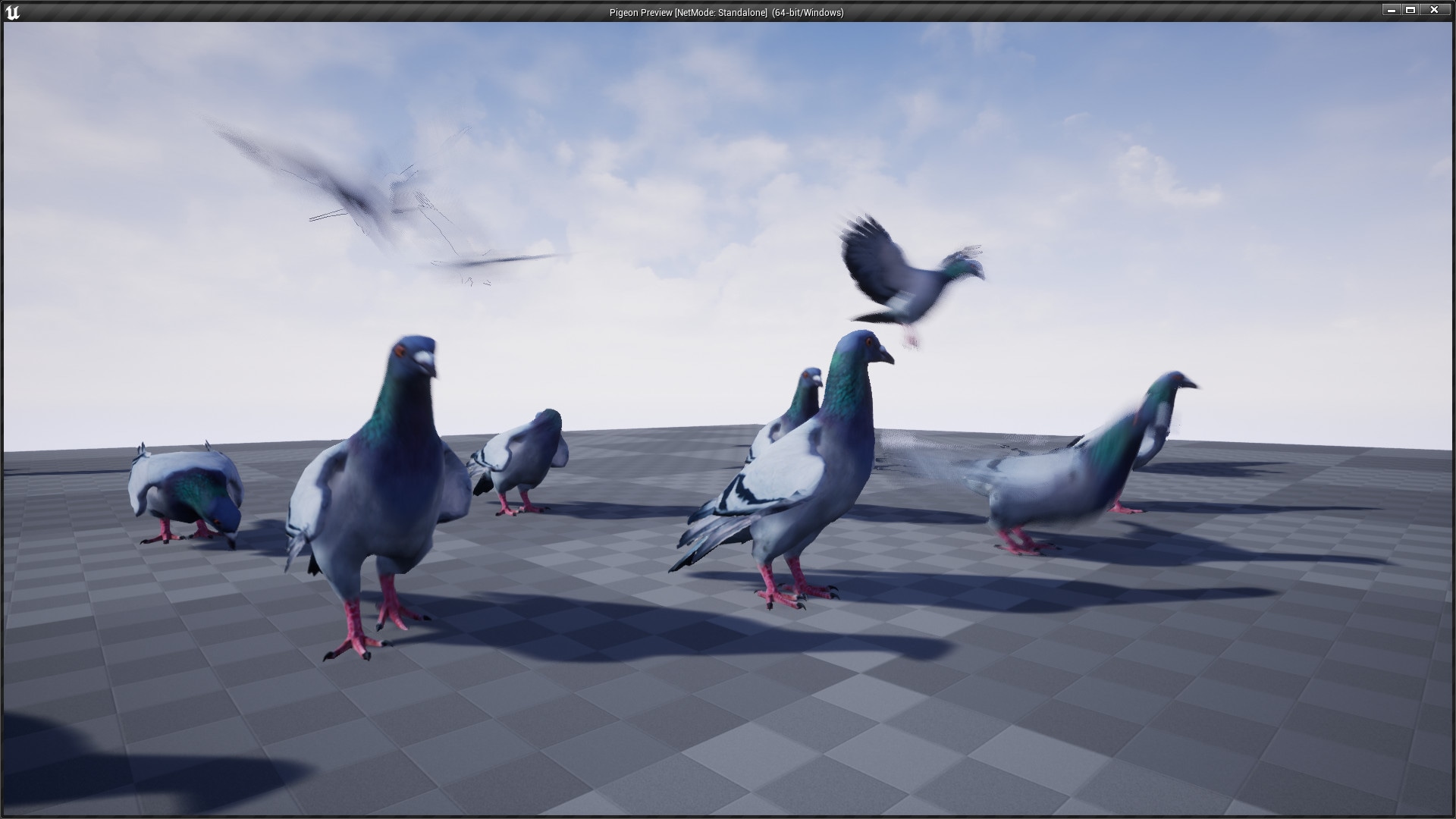 Pigeon in Characters UE Marketplace