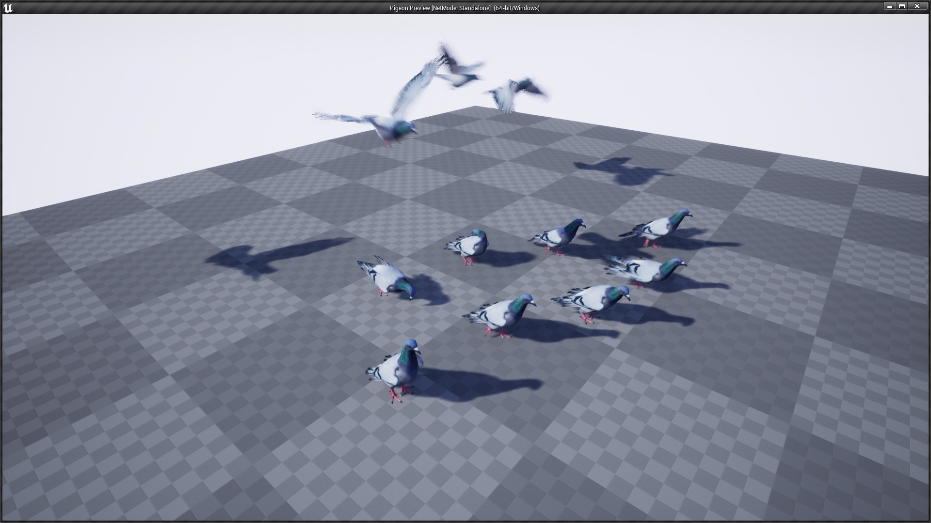 Pigeon in Characters UE Marketplace