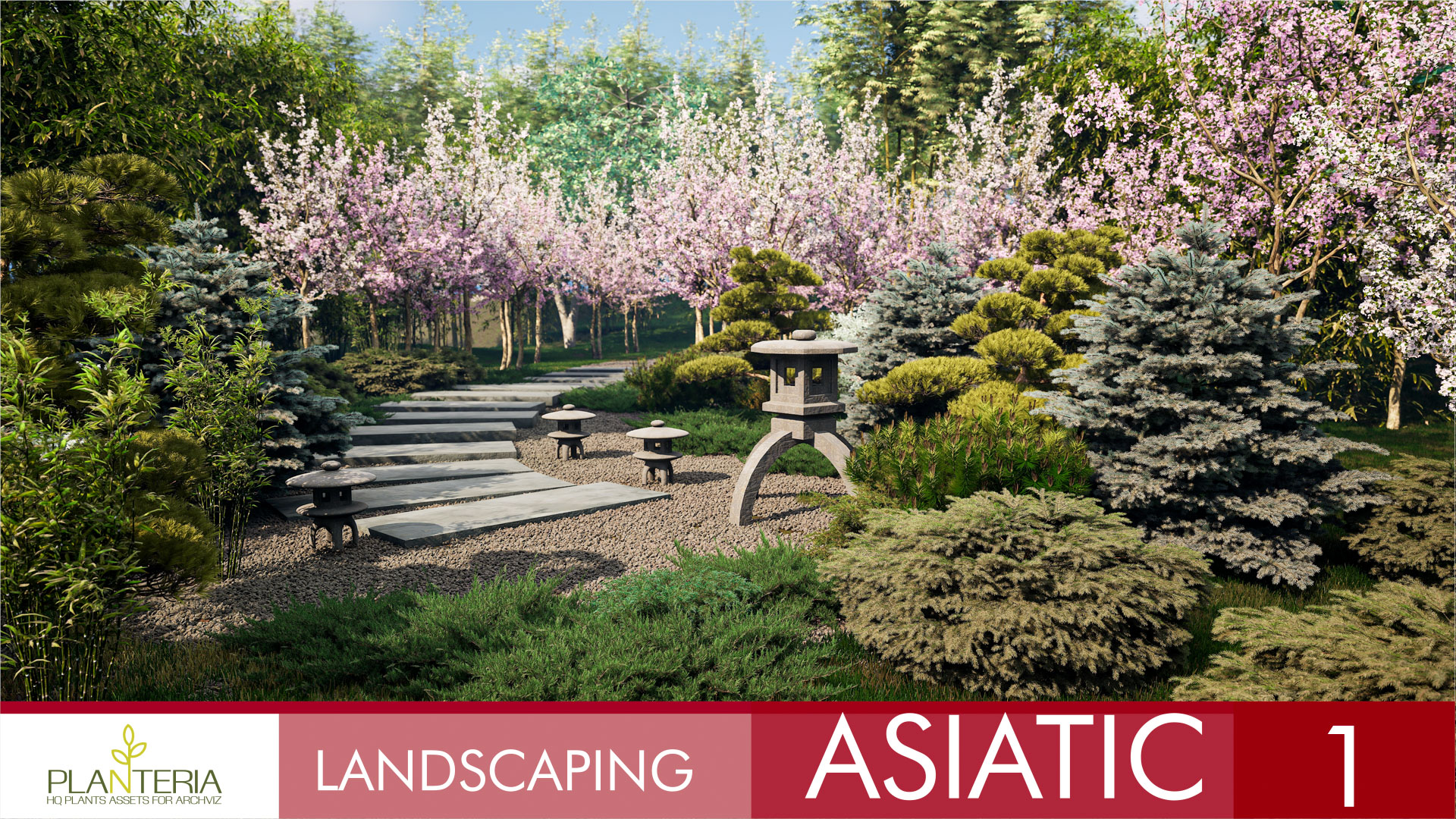 Landscaping Asiatic 1