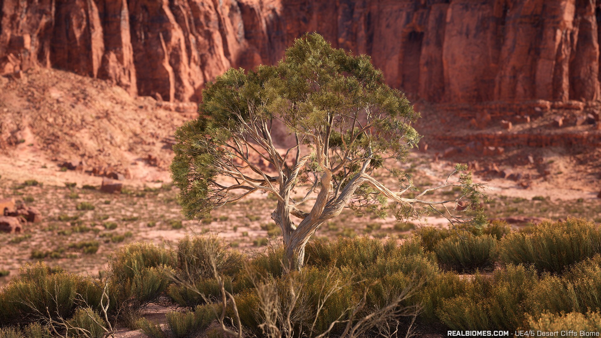 RB - RealBiomes Desert Cliffs Biome - Monument Valley (Trees, Grass