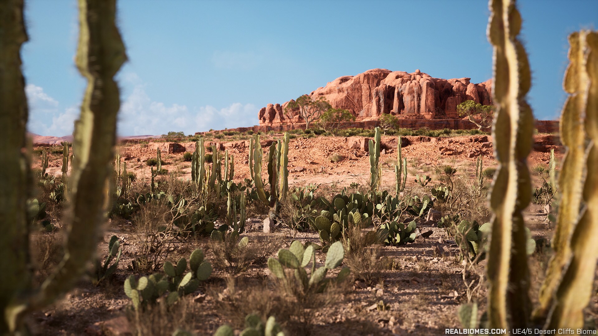 RB - RealBiomes Desert Cliffs Biome - Monument Valley (Trees, Grass