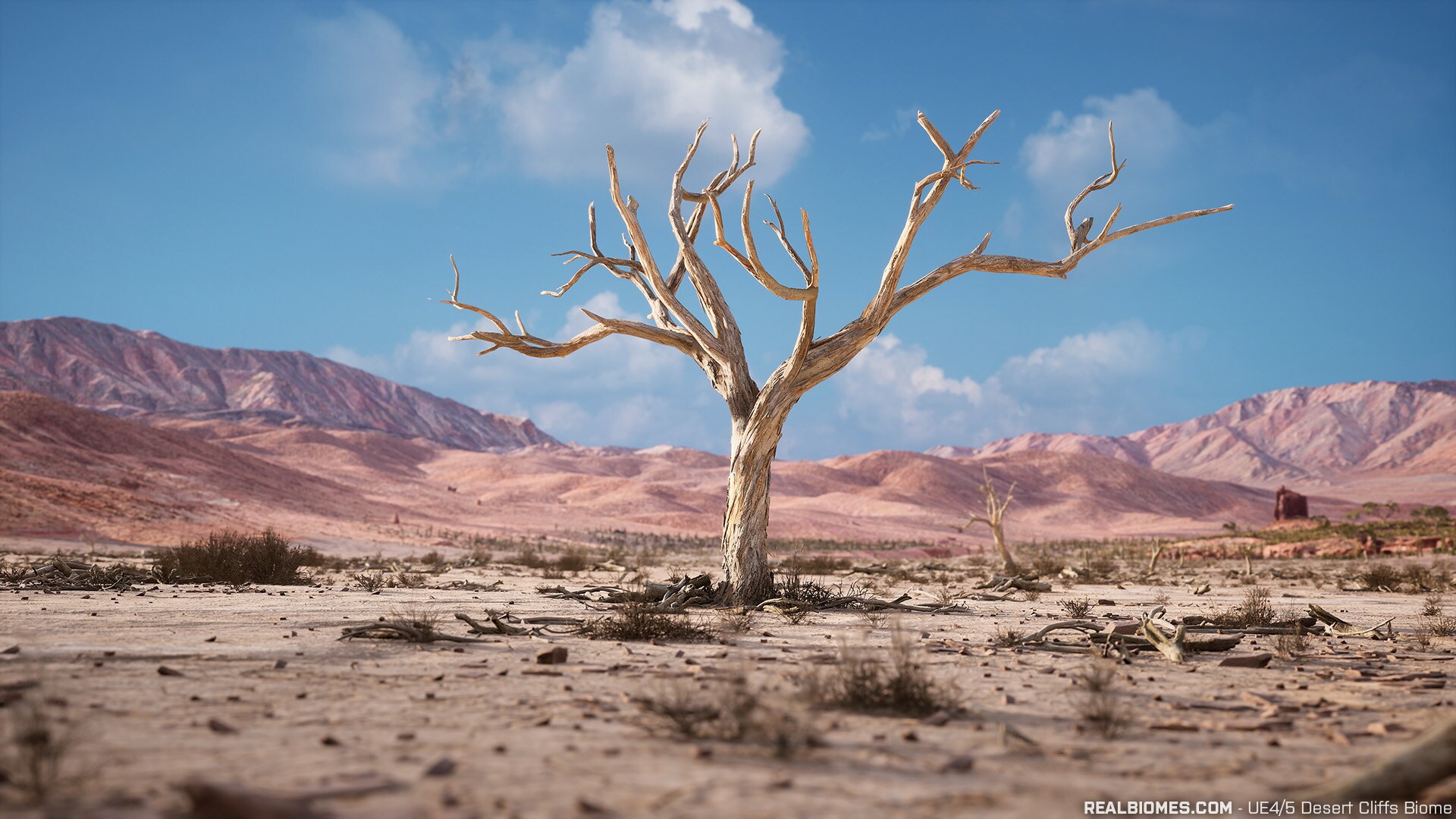 RB - RealBiomes Desert Cliffs Biome - Monument Valley (Trees, Grass