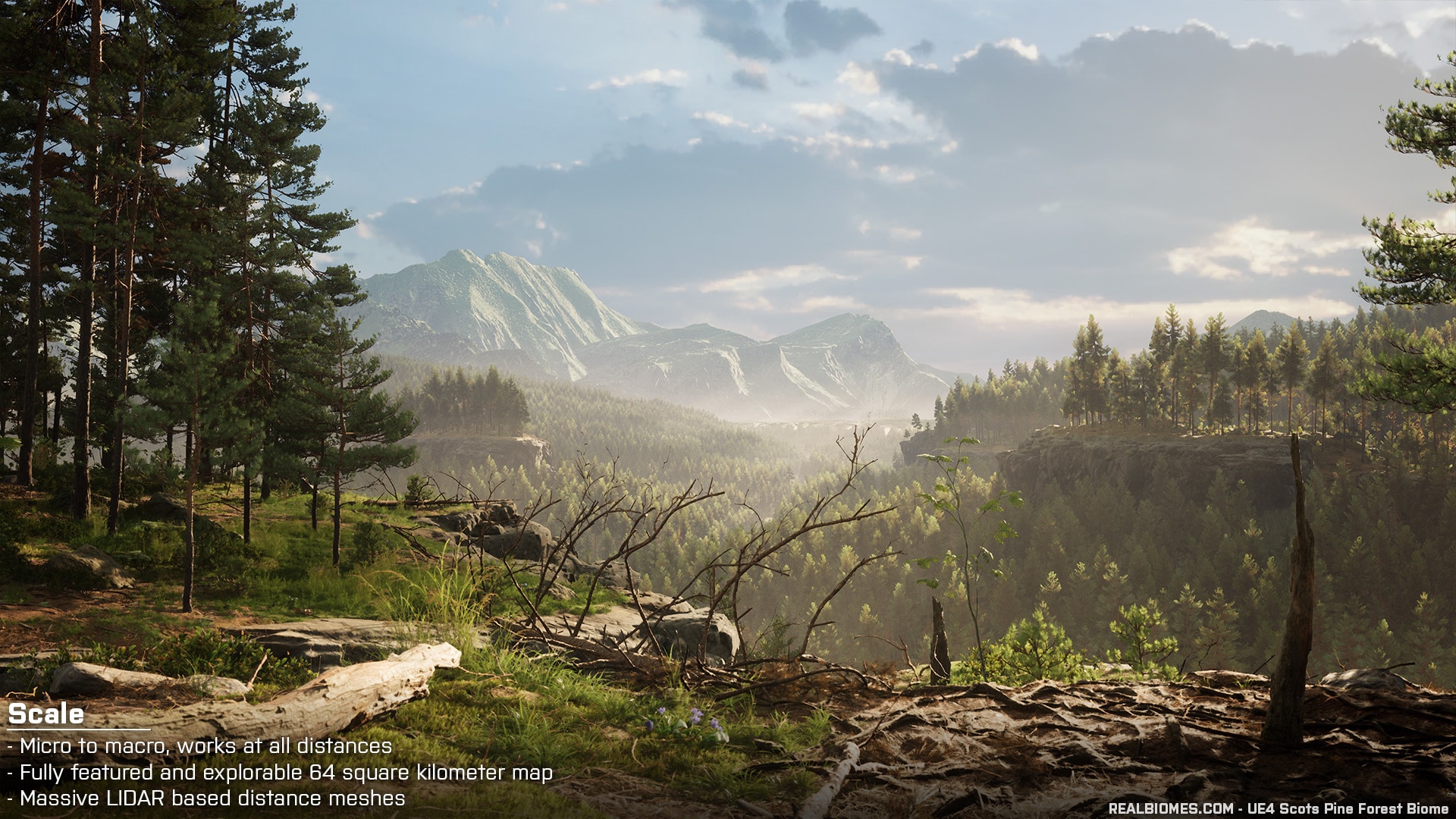RB - RealBiomes Scots Pine Forest Biome - Trees, Landscape, Pine Forest, Grass