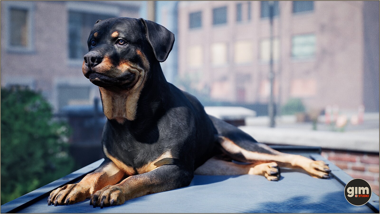 Animalia Rottweiler M in Characters UE Marketplace