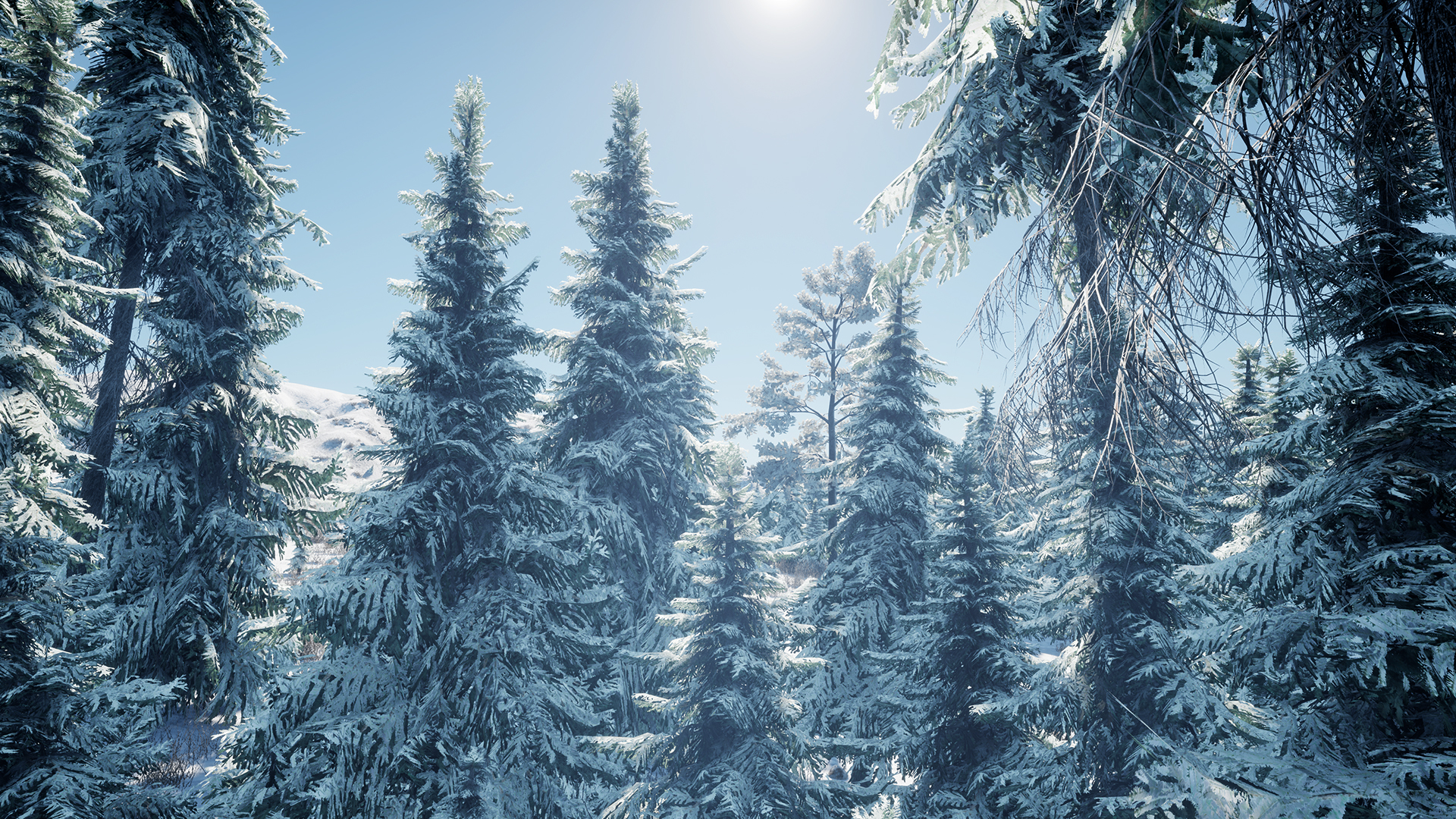 Snow forest open world biome