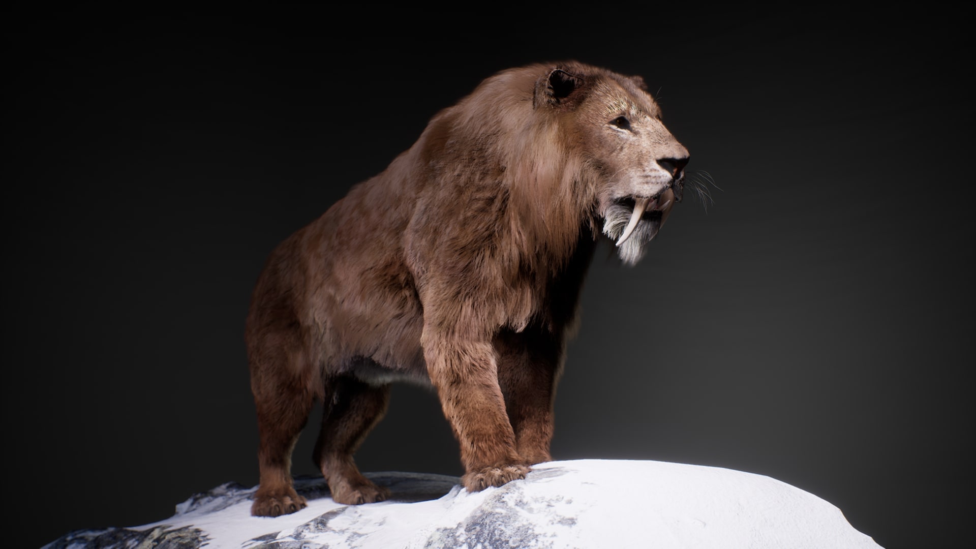 The Sabertooth