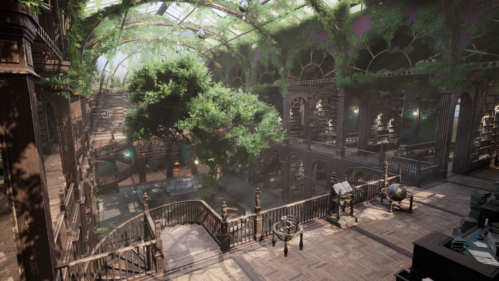 Library (Frog)