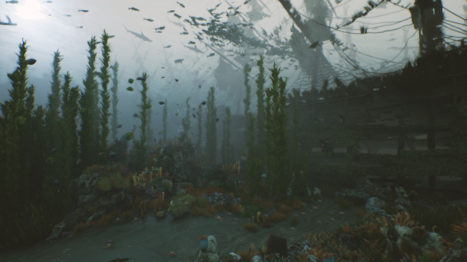 Bay submerged ships