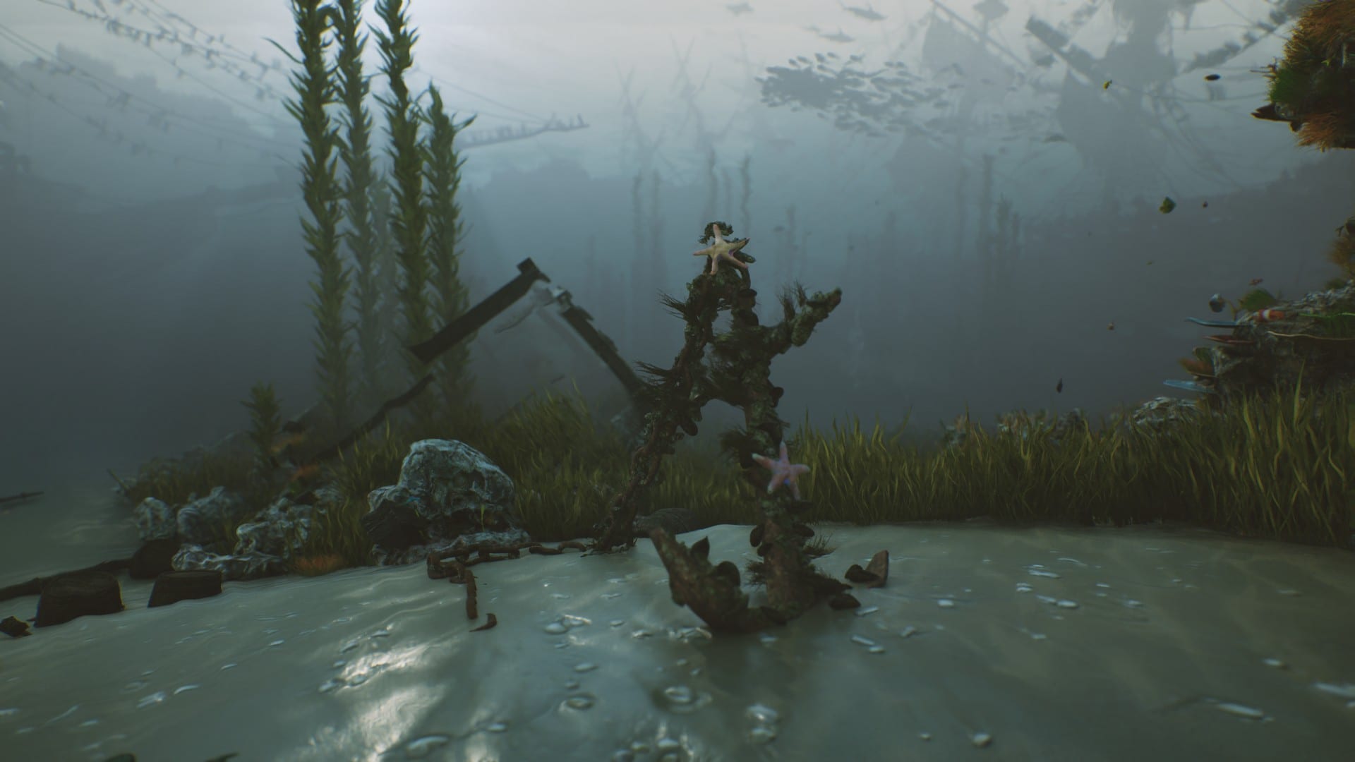 ScreenShot00006-1920x1080-2b53d774283a22ce81c30636d0e30040.jpg