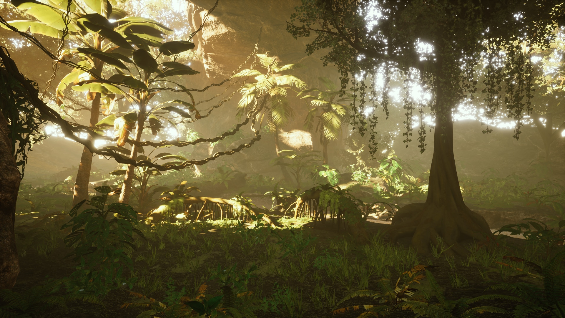 Jungle Pack