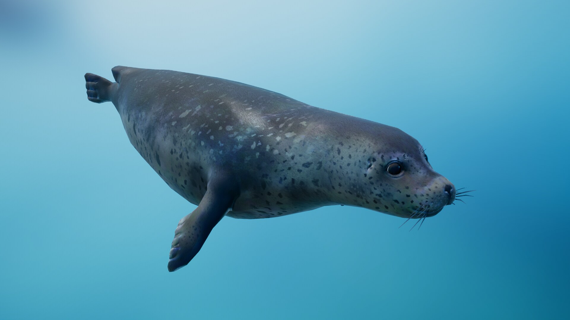 Ocean Fish Pack キャラクター Ue マーケットプレイス