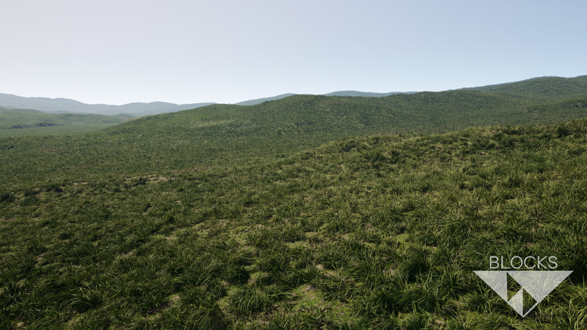 BLOCKS Foliage