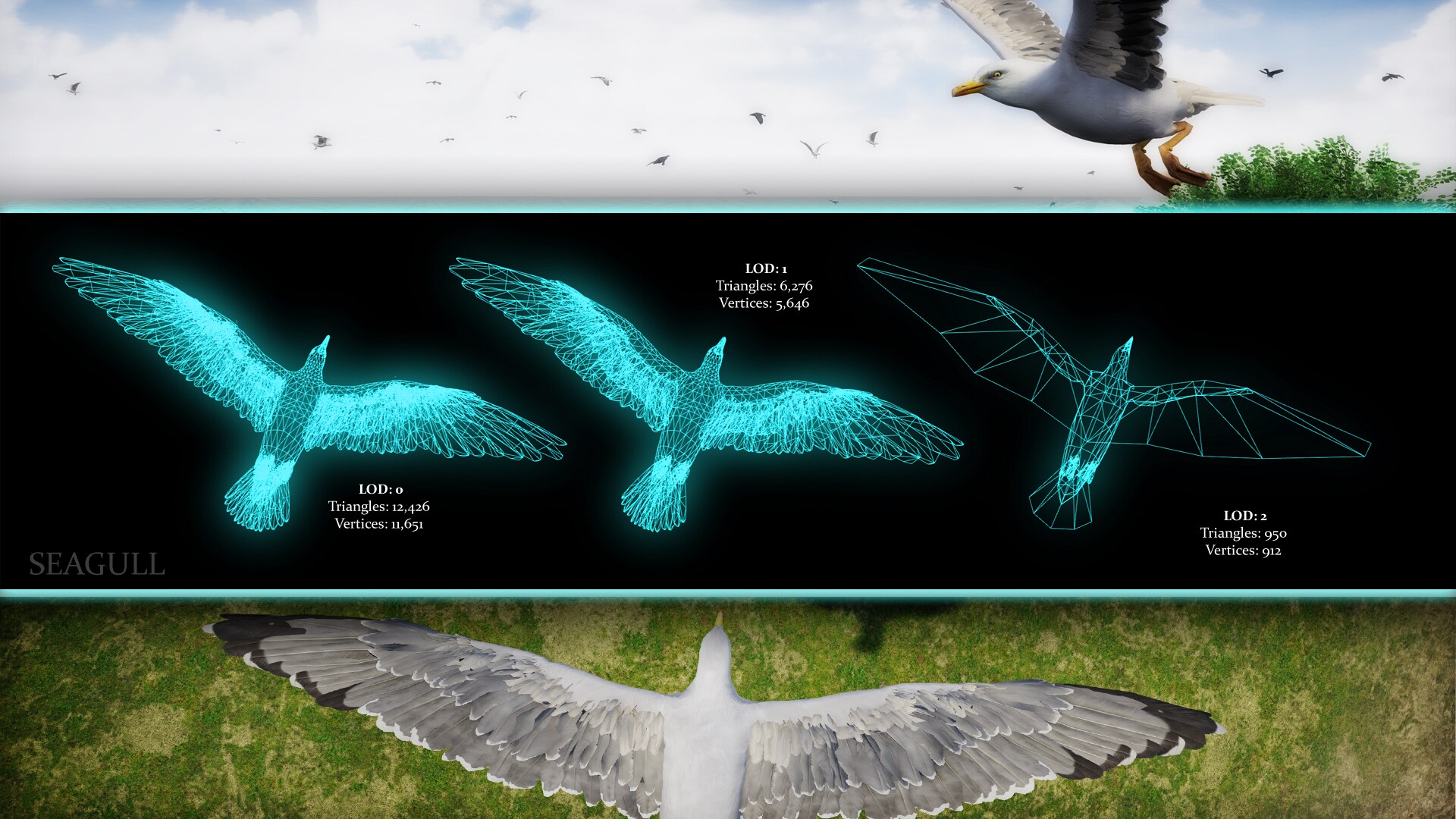 SeagullLODs-1920x1080-bd00b384fdf1cab124f7e22bfe506b51.jpg