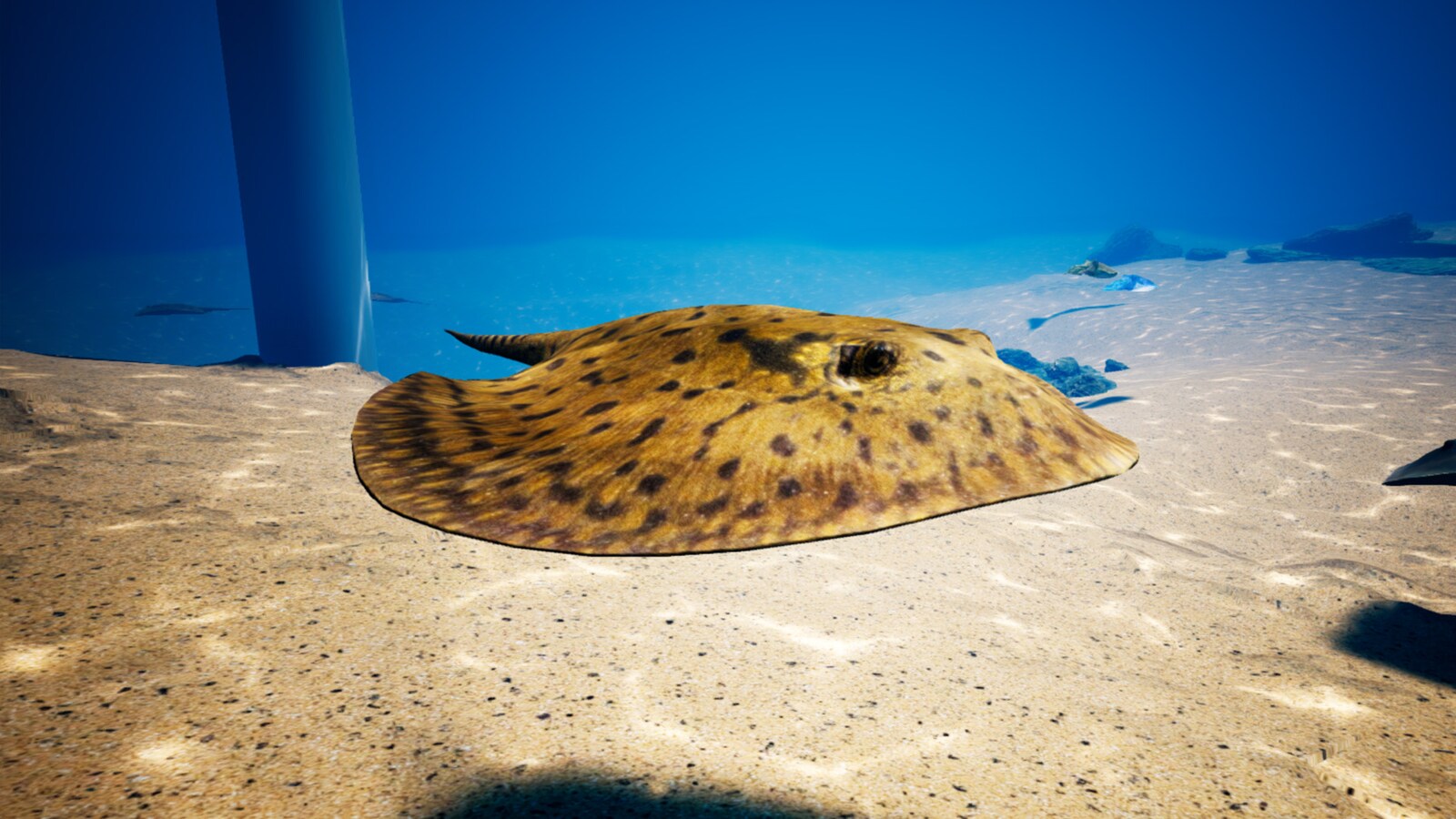 ocean animals pack vol.