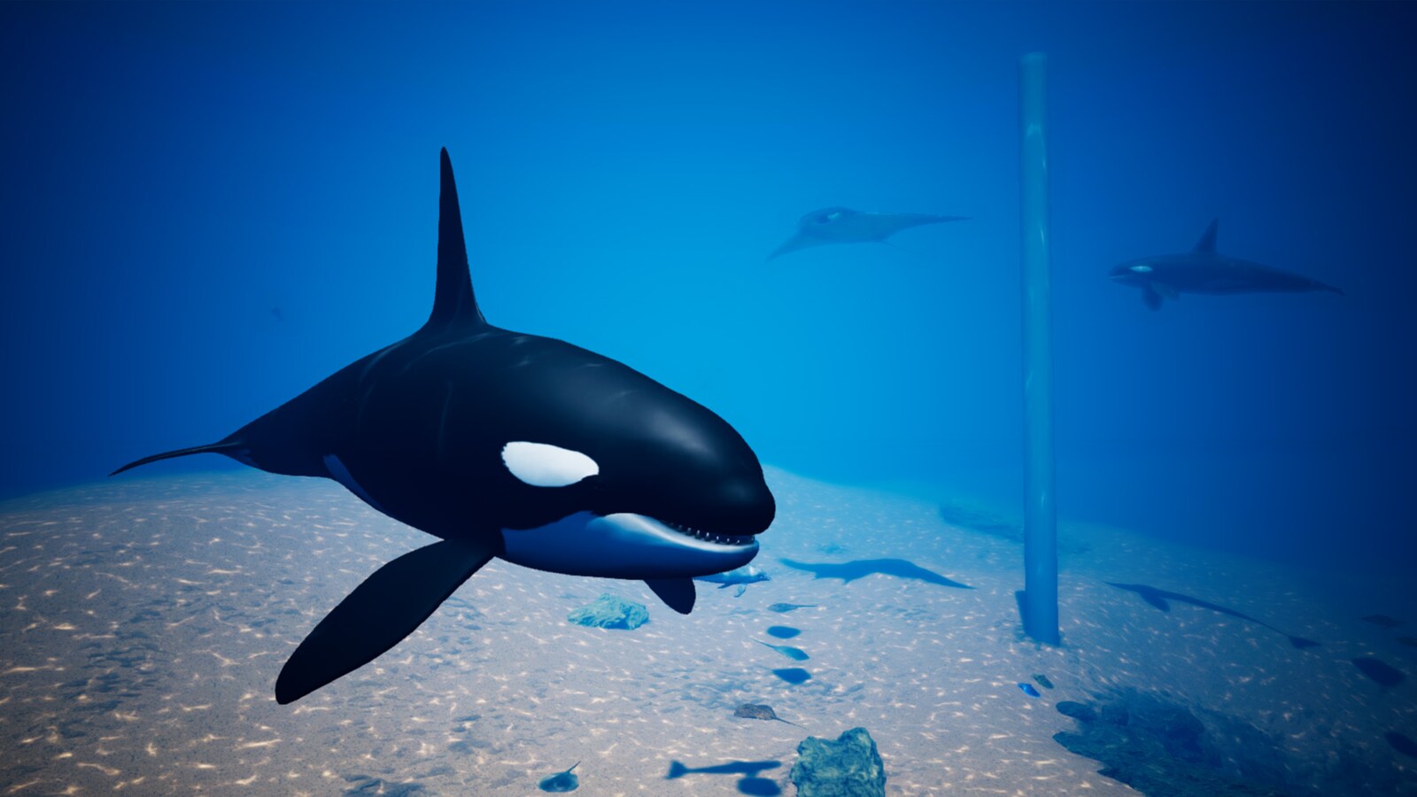 ocean animals pack vol.