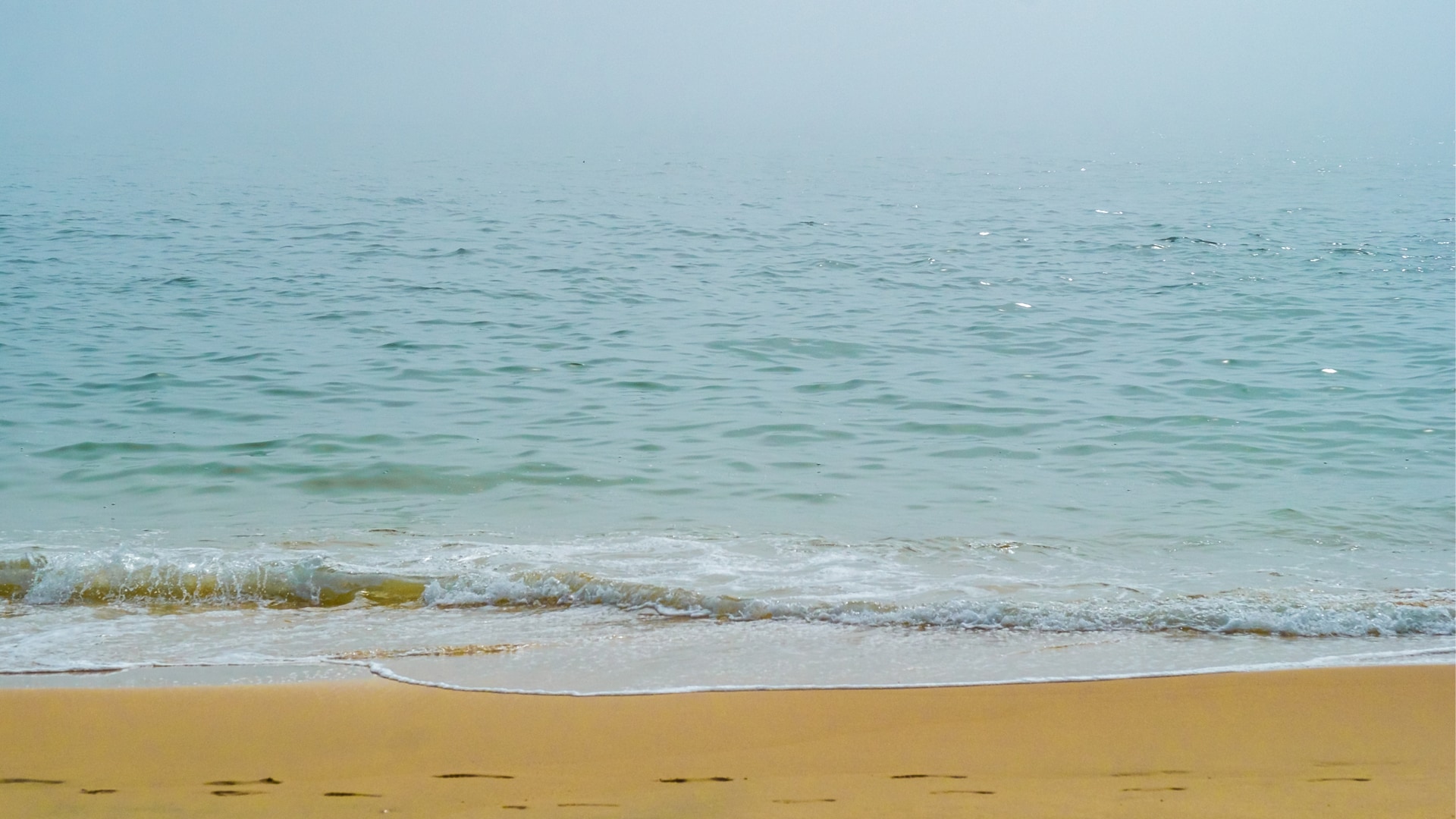 Beachfront Hangout Soundscapes