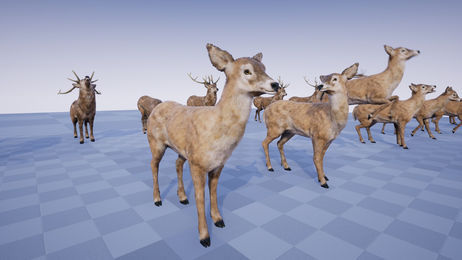 ANIMAL VARIETY PACK in Characters UE Marketplace