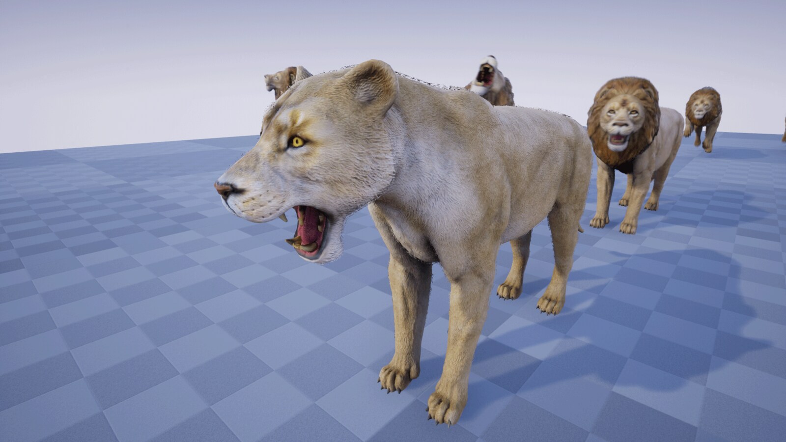 Lion Lioness キャラクター Ue マーケットプレイス Lion Lioness キャラクター Ue マーケットプレイス