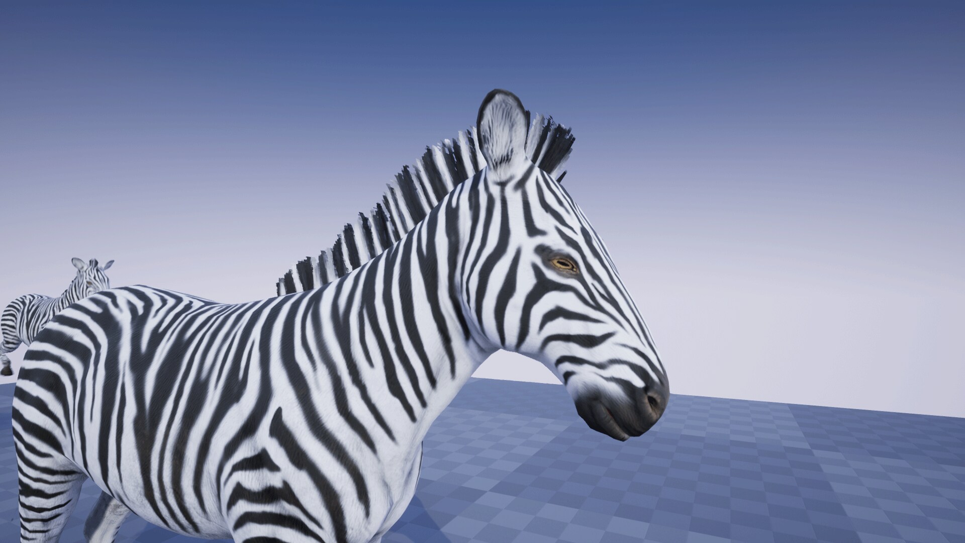 ZEBRA in Characters UE Marketplace